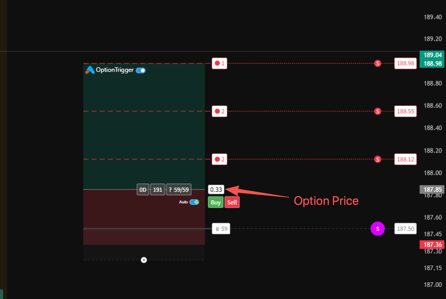 Option Prices Display